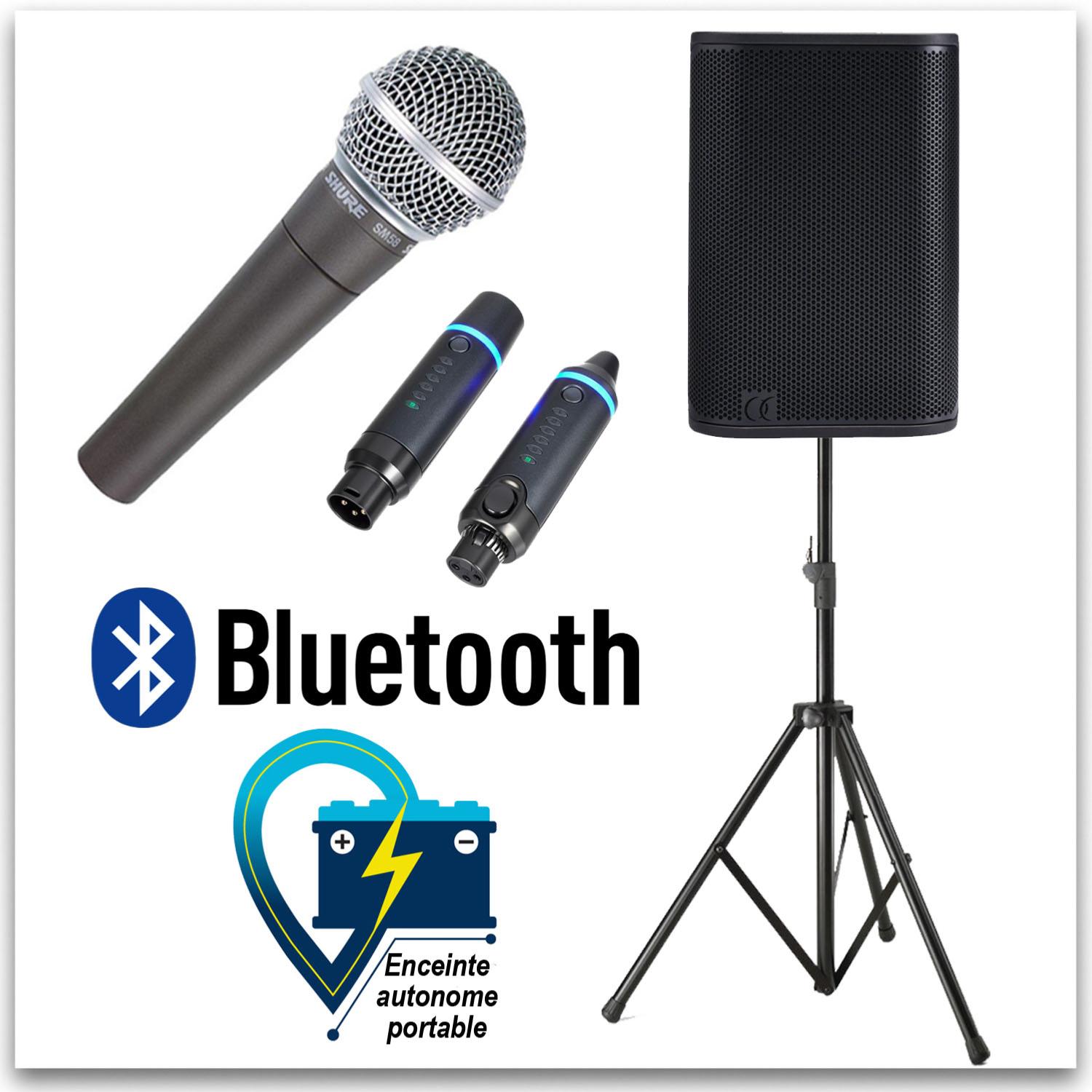 Sono portable sur batterie 200W RMS + micro sans fil